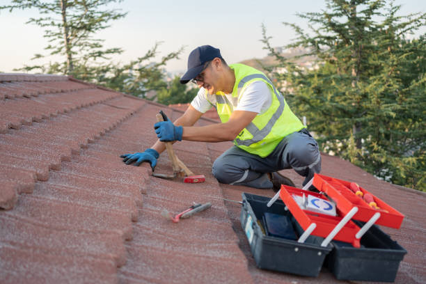 Best Roof Leak Repair  in Doffing, TX
